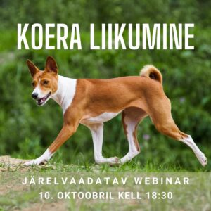 Koera liikumine: anatoomia ja biomehaanika (webinar)