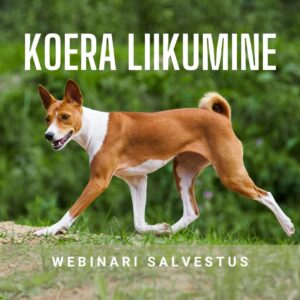 Koera liikumine: anatoomia ja biomehaanika (webinari salvestus)
