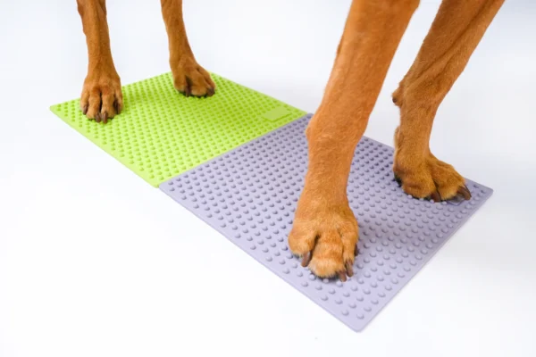 FitPaws TRAX targetid (2tk)