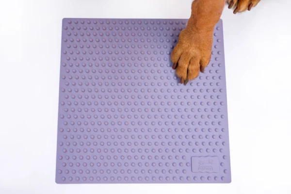 FitPaws TRAX targetid (2tk) - Image 3