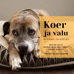 Koera valu webinari salvestus