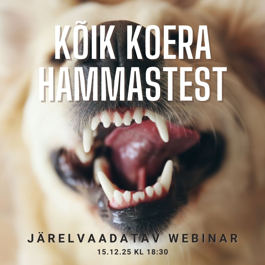 Kõik koerte hammastest (webinar)