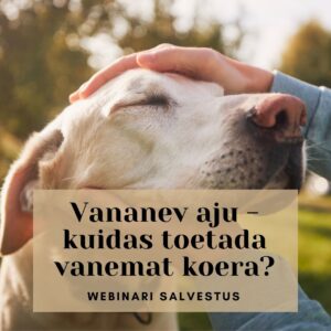 Vananev aju: kuidas toetada vanemat koer? (webinari salvestus)