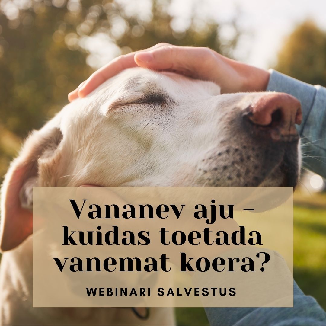 Vananev aju: kuidas toetada vanemat koer? (webinari salvestus)