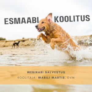 Lemmikloomade esmaabi (webinari salvestus)