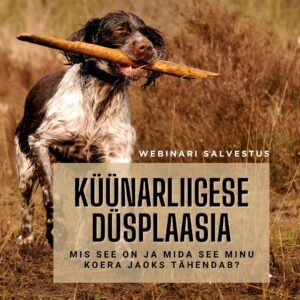 Küünarliigese düsplaasia: mida see minu koera jaoks tähendab? (webinari salvestus)