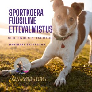 Sportkoera ettevalmistus: soojendus ja jahutus (webinari salvestus)