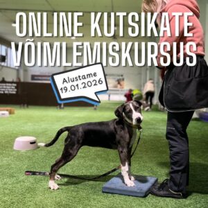 ONLINE kutsikate võimlemiskursus