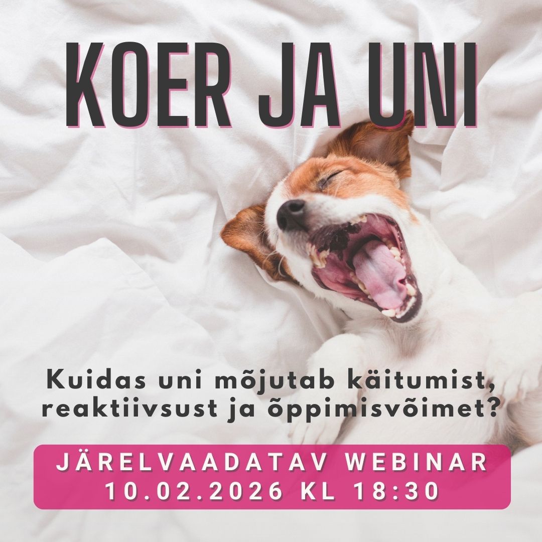 Koera uni: seosed käitumise, reaktiivsuse ja õppimisega (webinar)